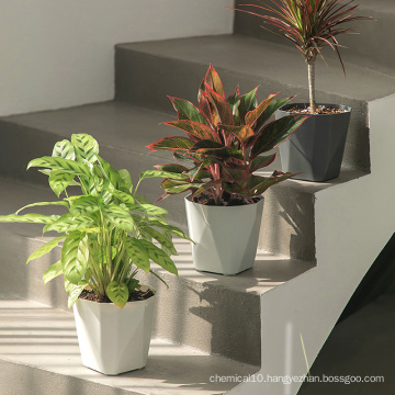 Wholesale nordic modern style cheap succulent cactus garden plastic flower pots plant pot for nursery plants